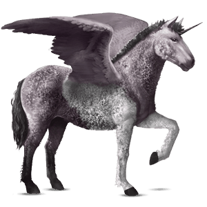 winged riding unicorn purebred spanish horse dapple gray