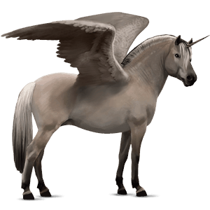 winged unicorn pony  gra