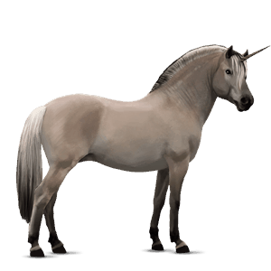 unicorn pony shetland dapple gray