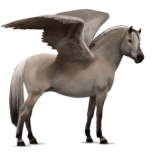 pegasus pony fjord gra