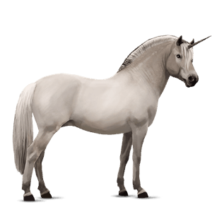 unicorn pony gulblakk