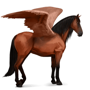 riding pegasus appaloosa palomino spotted blanket 