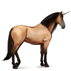 riding unicorn purebred spanish horse light gray
