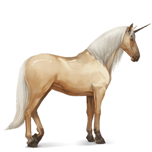 riding unicorn purebred spanish horse palomino