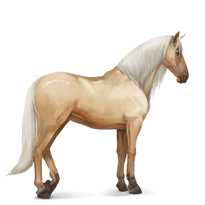 riding horse paint horse palomino tovero