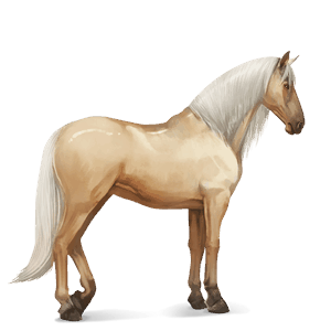 riding horse thoroughbred chestnut