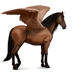 riding pegasus paint horse liver chestnut overo