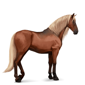 riding horse irish hunter flaxen chestnut 
