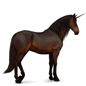 riding unicorn purebred spanish horse dark bay