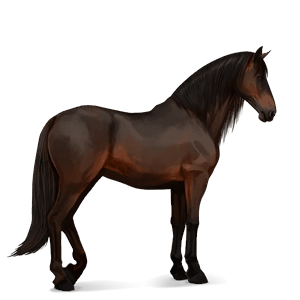 riding horse liver chestnut