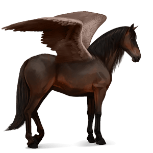 riding pegasus bay