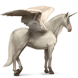 winged riding unicorn paint horse dark bay tovero