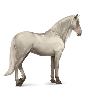 riding horse mustang cremello