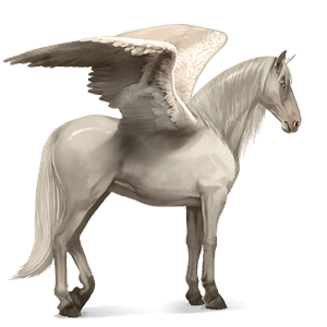 riding pegasus arabian horse light gray