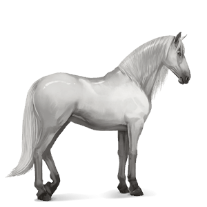 riding horse quarter horse light gray