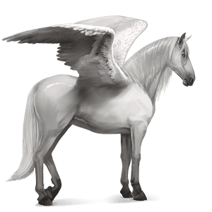 riding pegasus mangalarga marchador light gray