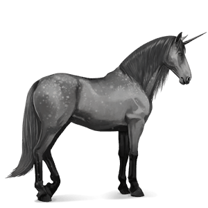 riding unicorn kwpn dapple gray