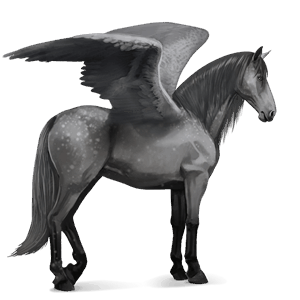 riding pegasus purebred spanish horse dapple gray