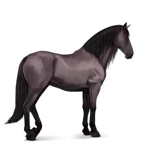 riding horse thoroughbred mouse gray