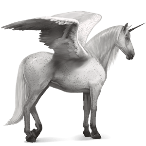 winged riding unicorn arabian horse light gray