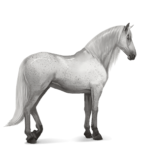 riding horse few spots