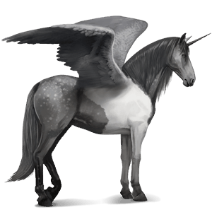 winged riding unicorn purebred spanish horse dapple gray