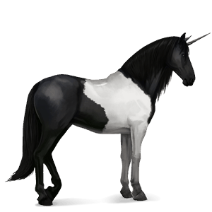 riding unicorn knabstrupper black leopard 