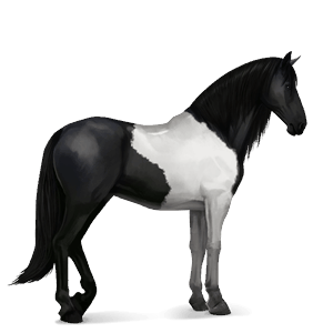 riding horse light gray