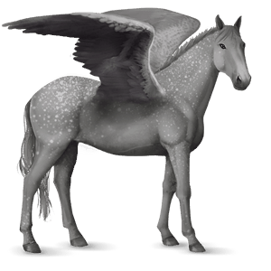riding pegasus quarter horse dun