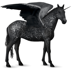 winged riding unicorn knabstrupper black snowflake 