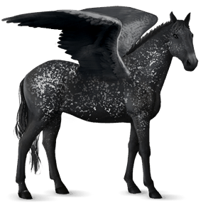 riding pegasus black snowflake 