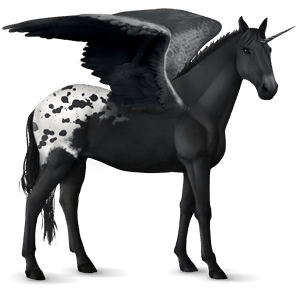 winged riding unicorn appaloosa black spotted blanket 