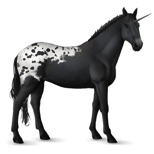 riding unicorn paint horse black overo