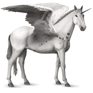 winged riding unicorn knabstrupper bay blanket 