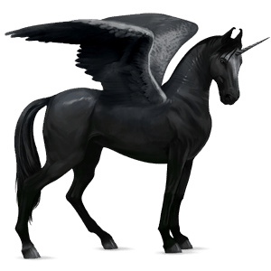 winged riding unicorn akhal-teke black