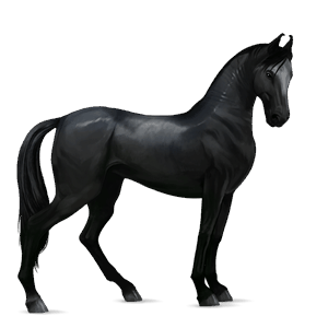 riding horse akhal-teke cremello