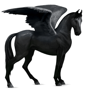 riding pegasus quarter horse black