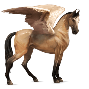 riding pegasus lipizzan light gray