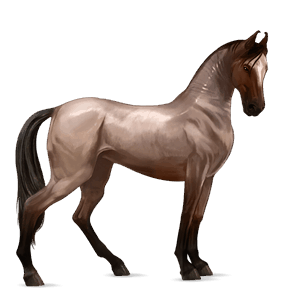 riding horse knabstrupper few spots