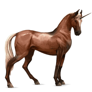 riding unicorn french trotter bay