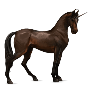 riding unicorn french trotter liver chestnut