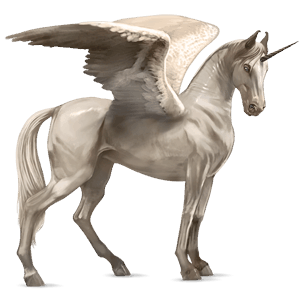 winged riding unicorn vanner black