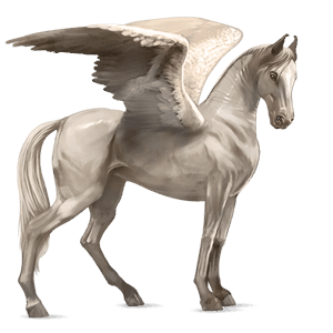 riding pegasus argentinean criollo flaxen chestnut 