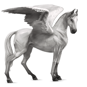 riding pegasus akhal-teke light gray