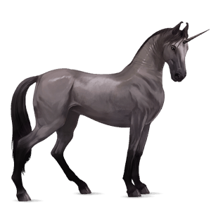 riding unicorn black