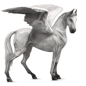 riding pegasus akhal-teke dapple gray