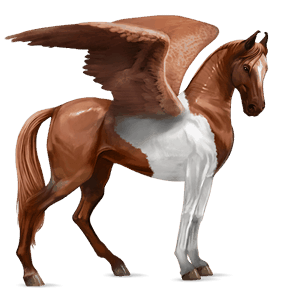 riding pegasus thoroughbred cherry bay