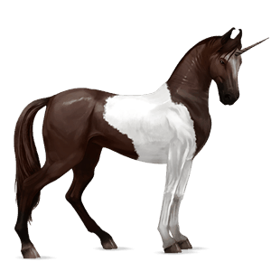 riding unicorn cherry bay tobiano