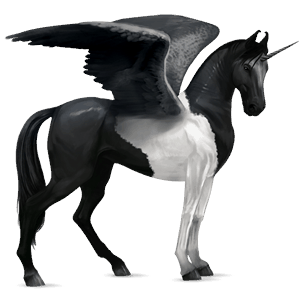 winged riding unicorn akhal-teke black