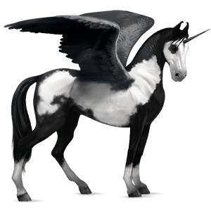 winged riding unicorn argentinean criollo black tobiano